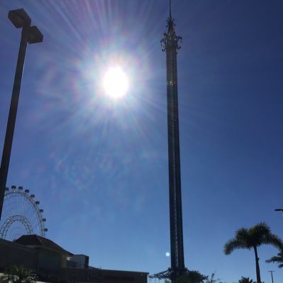 themeparkplane2 Profile Picture