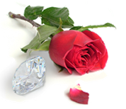 DutchRoseIT's profile picture. Dutch Rose Solutions designs new ways of using and sharing information.