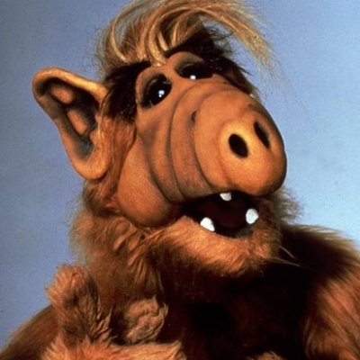 GordonShumwayG's profile picture. Ich und arbeiten? Arbeiten ist was für Ackergäule aber nicht die Aufgabe eines Topmanagers!