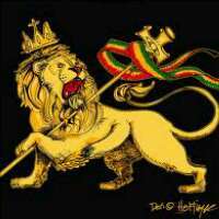 Jokkemon's profile picture. Nintendo Fanboy who plays Magic and think God is great stuff.