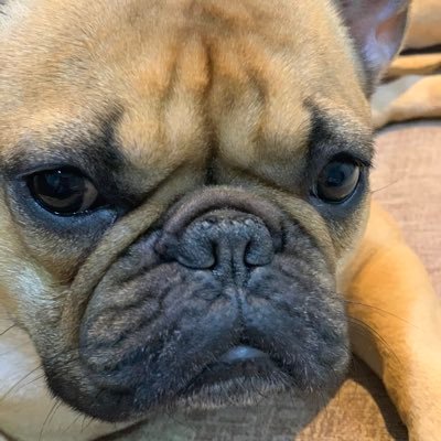 clairmarieeee's profile picture. 