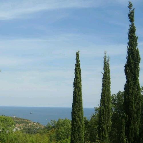 VictoriaAKent's profile picture. 