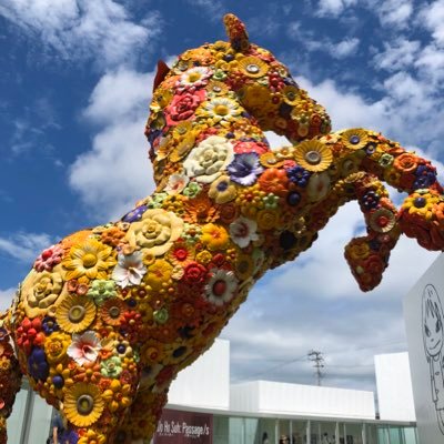 H_run_400ng's profile picture. Sendai→Yamagata→Tokyo 走る、山登り、勉強、