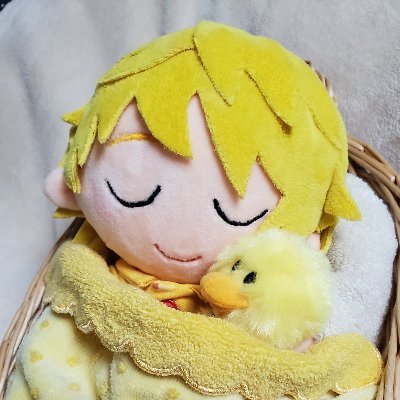 せとさんのプロフィール画像