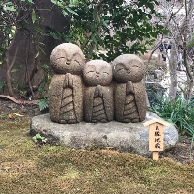 さなさんのプロフィール画像