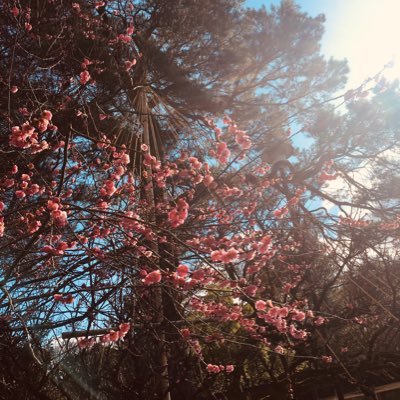 hdk_four's profile picture. 好きなものを描いたり書いたり