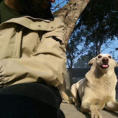 _sagarbajpai_'s profile picture. 