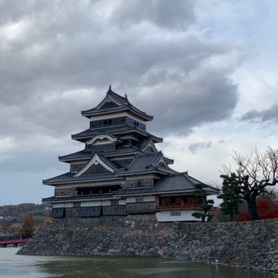 バスケット 和牛繁殖　勉強中