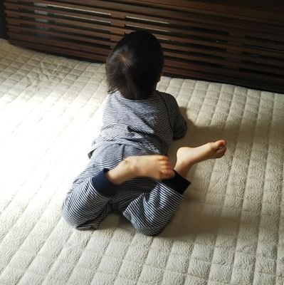 地方都市在住の主婦 ６歳男児と４歳女児のお世話係。ぐうたらの傍ら、料理、整理整頓に励む。2029中受？頭捻って楽しんで学べるように支えたい。