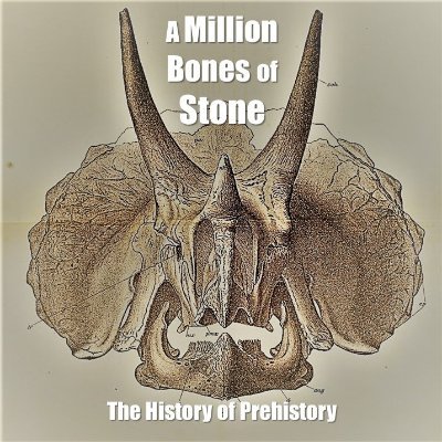 A Million Bones of Stone is a YouTube video series on 