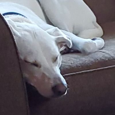 no1booitw's profile picture. 