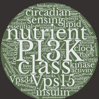 Panasyuk Lab (@panasyuklab) 's Twitter Profile