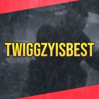 Twiggzy(@twiggzyisbest) 's Twitter Profileg