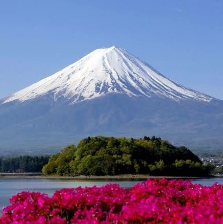 Ahmed9elbat's profile picture. 