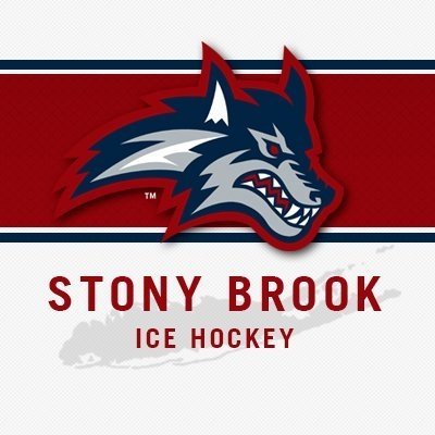 Official Twitter of the Stony Brook University Seawolves Hockey Team | ACHA Division I | 13-Time League Champions 🏆