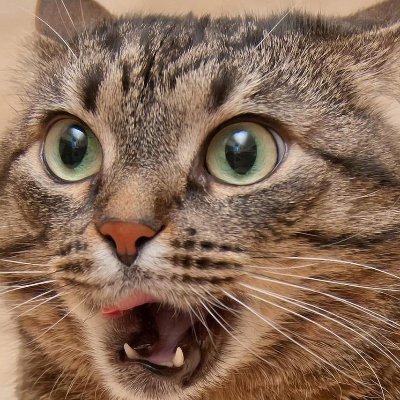 cashmer76282199's profile picture. 