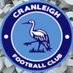 Cranleigh FC (@OfficialCranes) Twitter profile photo