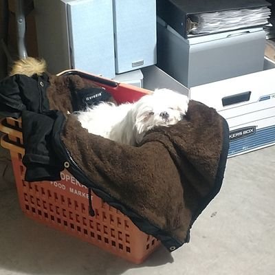 Kristin37485734's profile picture. 