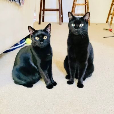 jenam1379's profile picture. ❤️