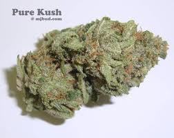 Pure kush, an indica strain, is very relaxed with a mind numbing high. The bud is light green, with spots of dark green, and clusters of dark