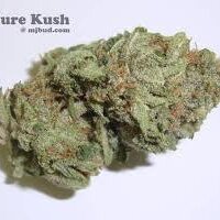 Platinum Pure Kush (@platnumpurekush) 's Twitter Profile