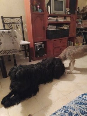 Me gusta el deporte, pasar tiempo con la familia. Interesada en cosas sociales de bien común.