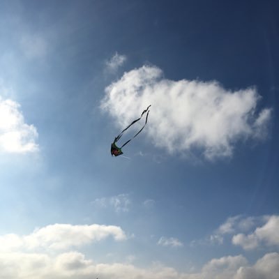 JenFbpe's profile picture. Risk averse hypochondriac.