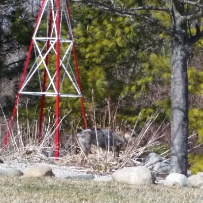 ESmigill's profile picture. 