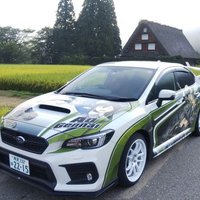 schnauzer_nerine (@schnauzernerine) Twitter profile photo