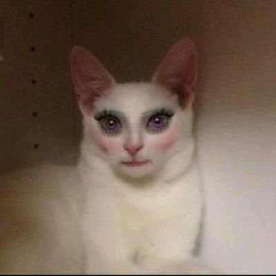 GuruleGen's profile picture. ¯\_(ツ)_/¯