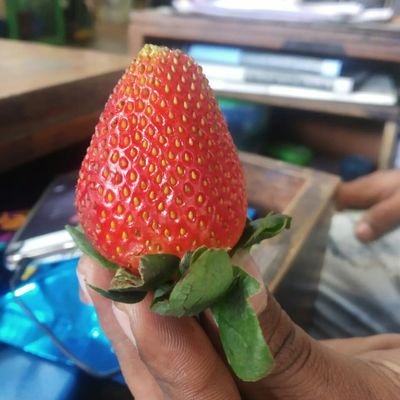 Karthic68316639's profile picture. 17101999