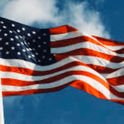 lsbrigge's profile picture. Preserve the American way of life!