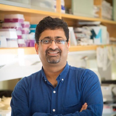 Professor of Cell and Molecular Biology; Cancer Biologist