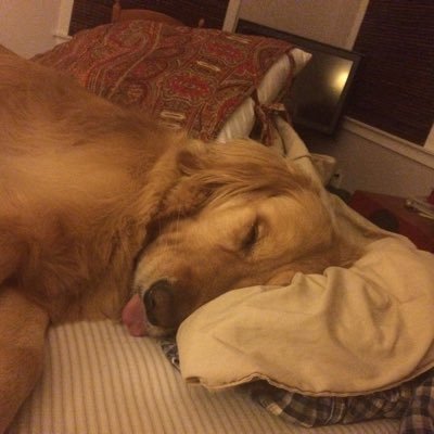 ben_slagter's profile picture. 