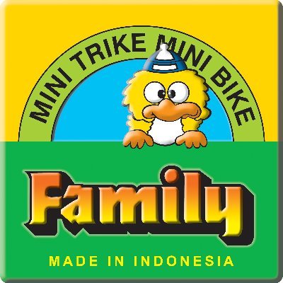 family trike bike