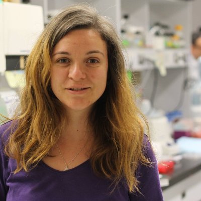 Postdoc @MPIBrain with @avstempel | PhD @mcgillu with @ed_ruthazer | excited about plasticity and the lack thereof | academic mom
@elkutsarova@mstdn.science