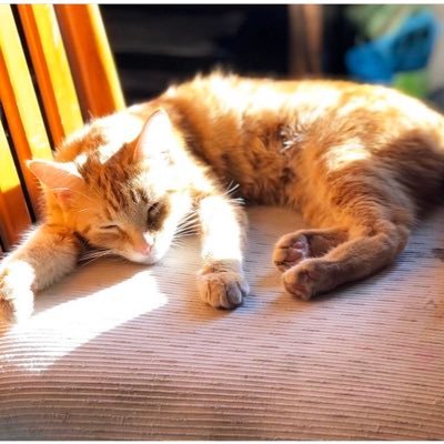 hayden43365683's profile picture. In middle school”/