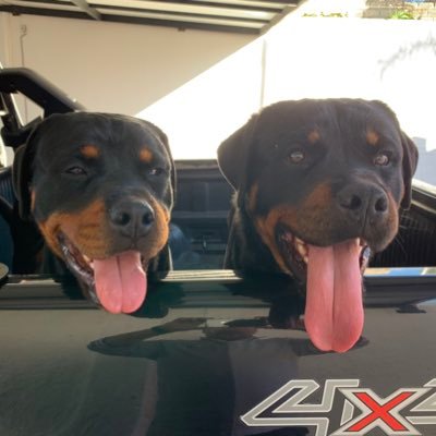 GeraCasillasM's profile picture. 