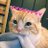 F_fararame's profile image