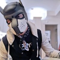 Pup Kobel 🔜 GBUS (@pupkobel) 's Twitter Profile Photo