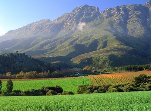 Broader Community of Maties Stellenbosch | Follow official @StellenboschUni | Tag #Maties - curated by proud Alumni 💜