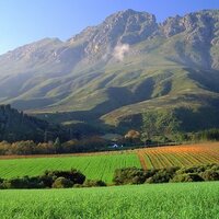 Maties Stellenbosch (@maties) 's Twitter Profile
