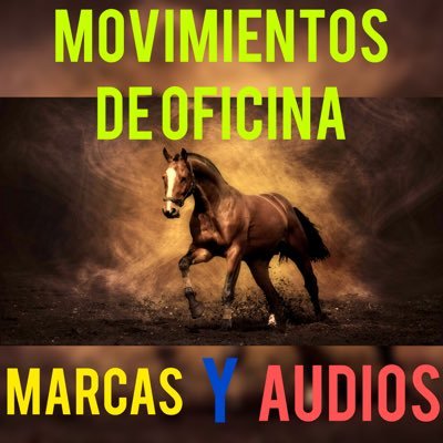 1. AUDIOS 0900 📣 2. MARCAS 0900📝 3. BOSQUEJOS 🔎 4. TRAQUEOS Y AJUSTES ⏱ 6. CORRIDA NOCTURNA EN VIVO ☎️ *7. MOVIMIENTOS DE OFICINA MINUTO A MINUTO☎️* 🏇🏻🏇🏻