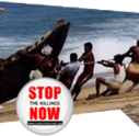 Over 500 Indian Tamil Fisherman has been killed in Indian Ocean by Sri Lankan Navy/Coast Guard