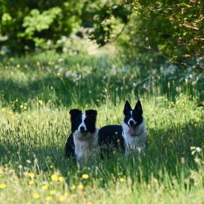 Retired GP Fearful re the future of the NHS. Passionate about the environment, keeping wild places wild and protecting our world from its destruction by humans