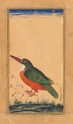 NidaAzad2's profile picture. free thinking,looking for something practical in life rather dreaming.