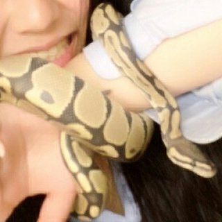 ペット交換会(´℃_゜)さんのプロフィール画像