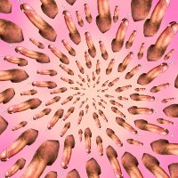 genitalfractals (@genitalfractals) 's Twitter Profile