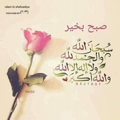 AsimKho17029600's profile picture. 