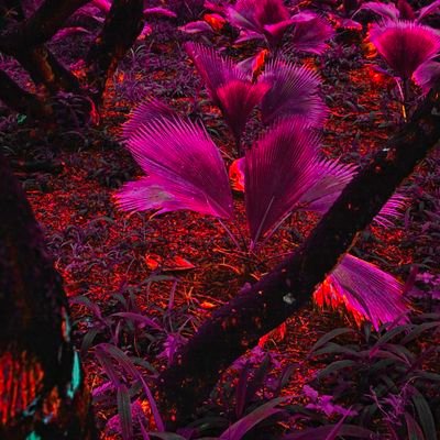 restack_mhail's profile picture. Baik